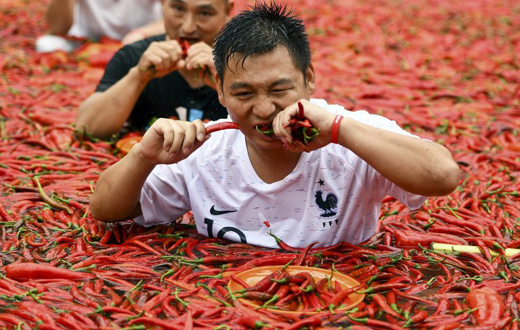 chillies